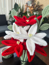 Load image into Gallery viewer, Poinsettia Mix - Crochet Bouquet
