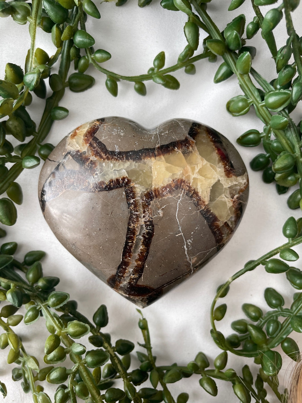 Septarian Heart