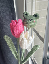 Load image into Gallery viewer, Mr.Froggy Bouquet
