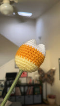 Load image into Gallery viewer, Candy Corn Tulip - Single Stem
