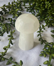 Load image into Gallery viewer, Selenite Mushroom
