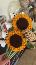 Load image into Gallery viewer, Spell Bound - Crochet Bouquet
