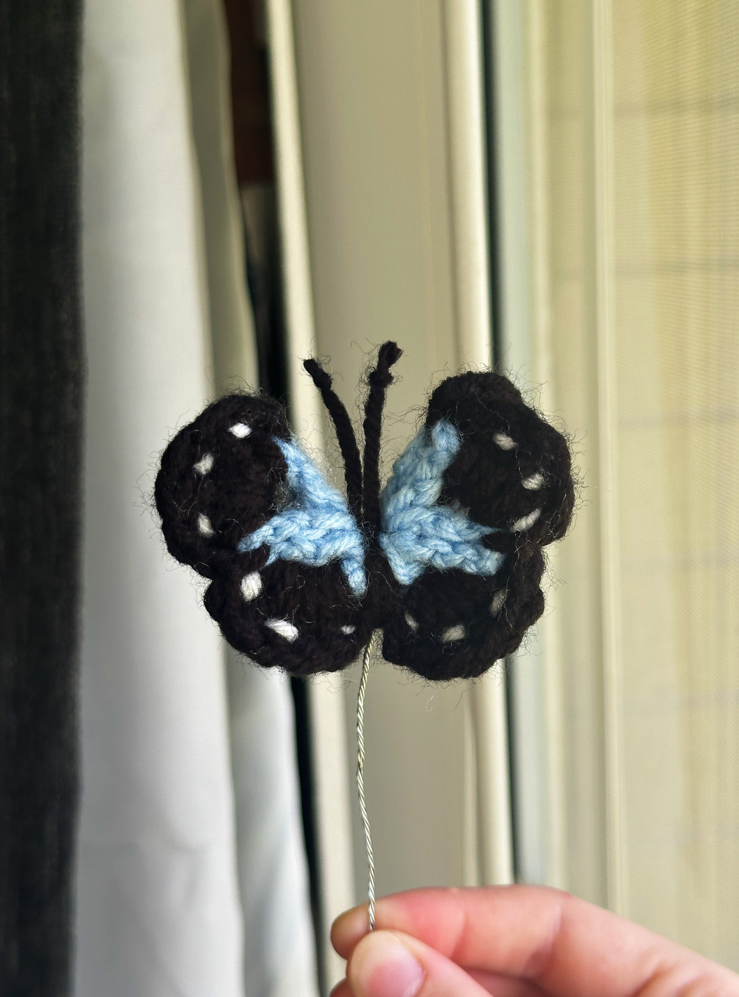 BUTTERFLY! - Single Stem