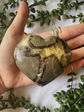 Load image into Gallery viewer, Septarian Heart
