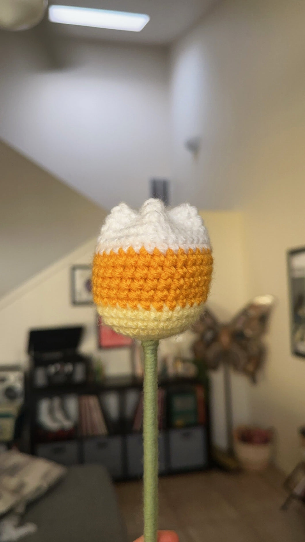 Candy Corn Tulip - Single Stem