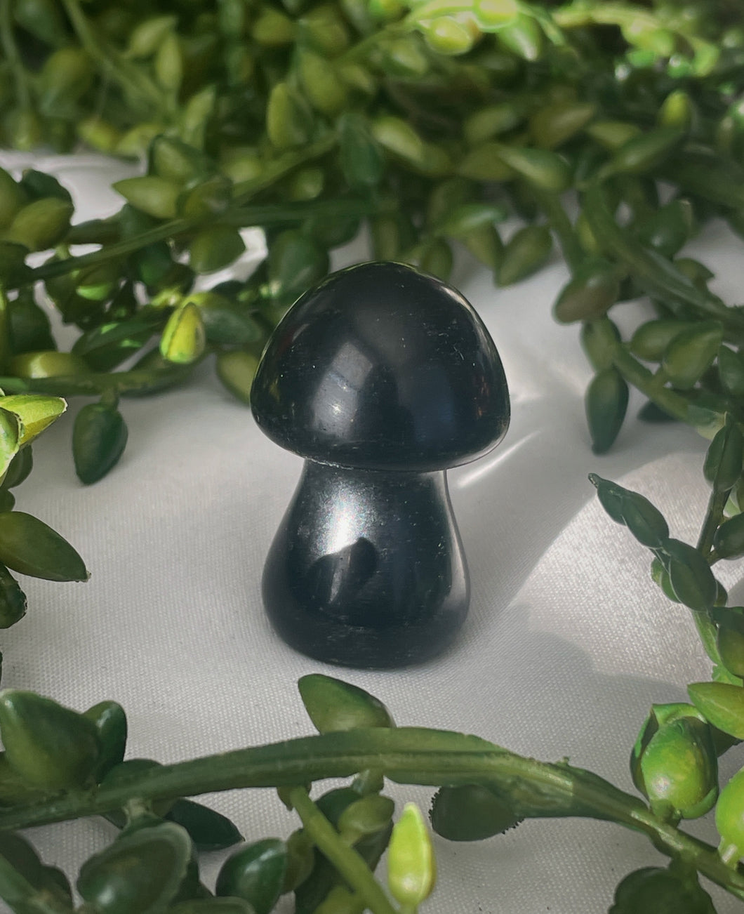 Obsidian Mushroom