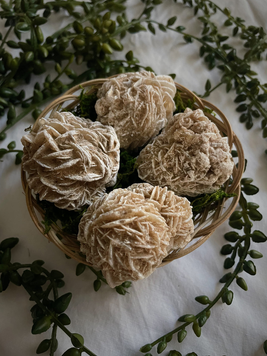 Desert Rose Selenite