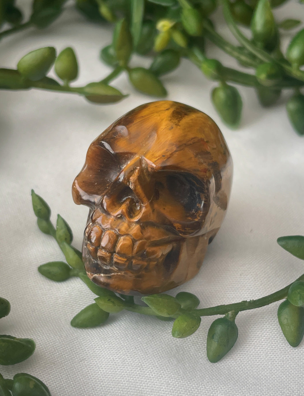 Tigers Eye Skull