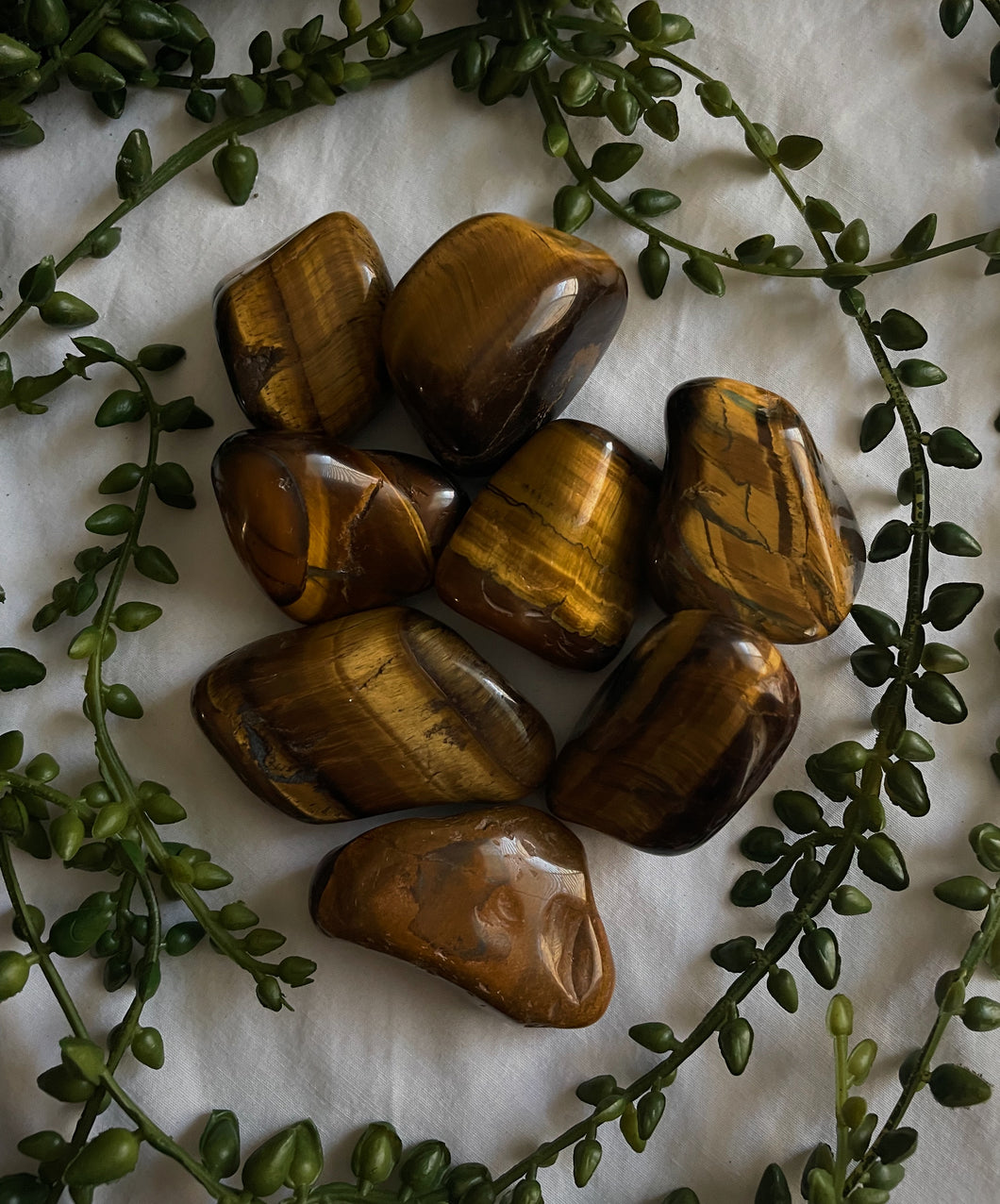 Tigers Eye Pocket Stones